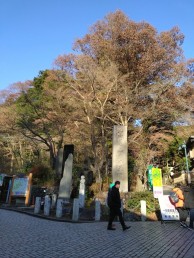 20231217_082545-e1703303371924